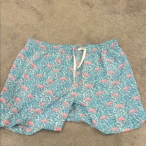chubbies Teal & Pink Flamingo Athletic Shorts
